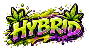 Hybrid